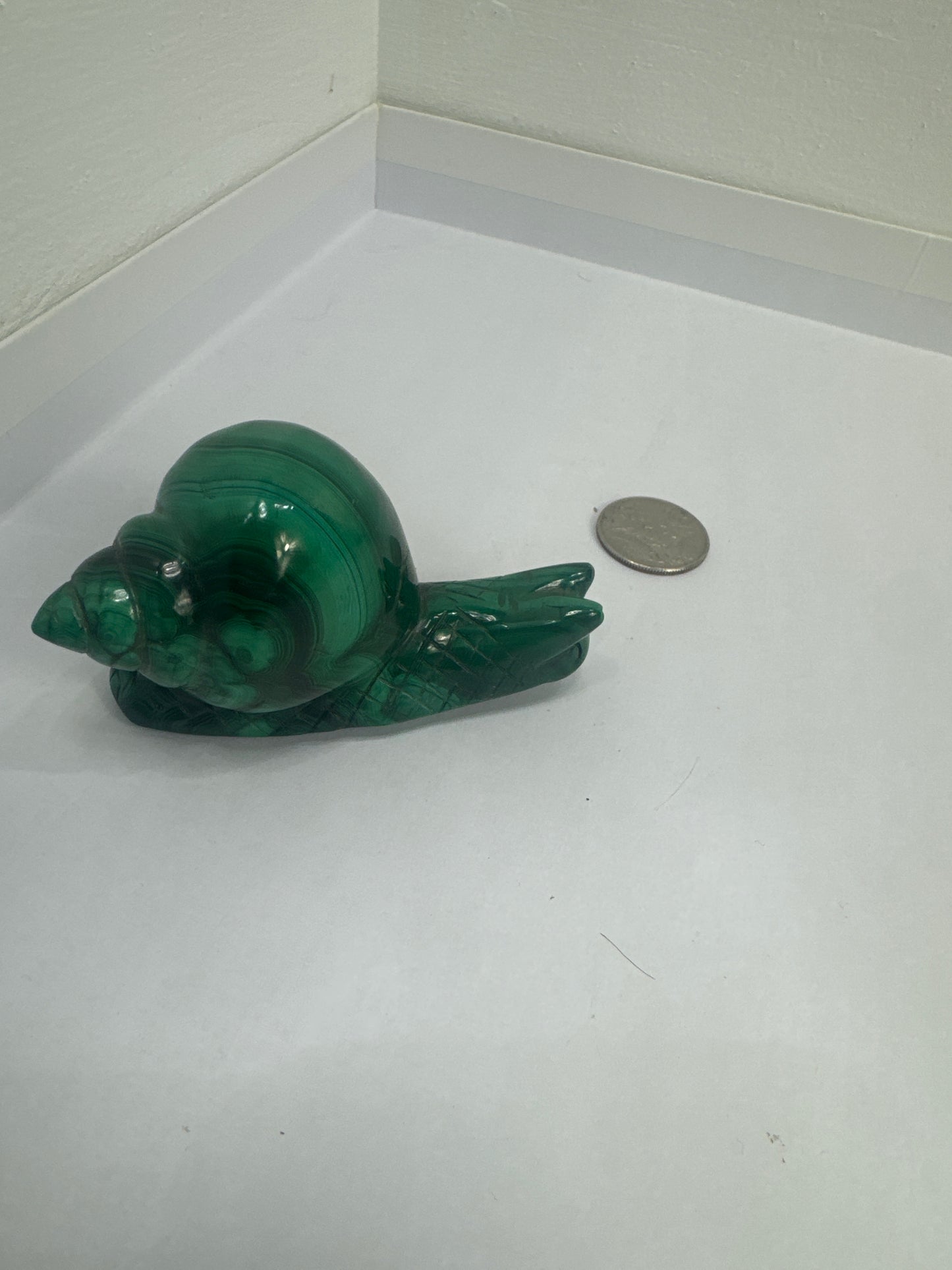 SNAIL CARVINGS- Patience, Persistence, and Grounding