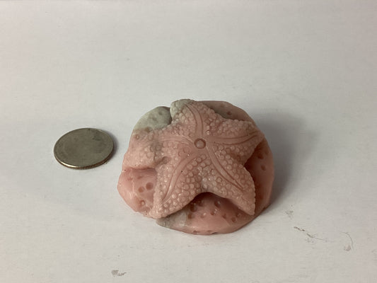 PINK OPAL STAR FISH