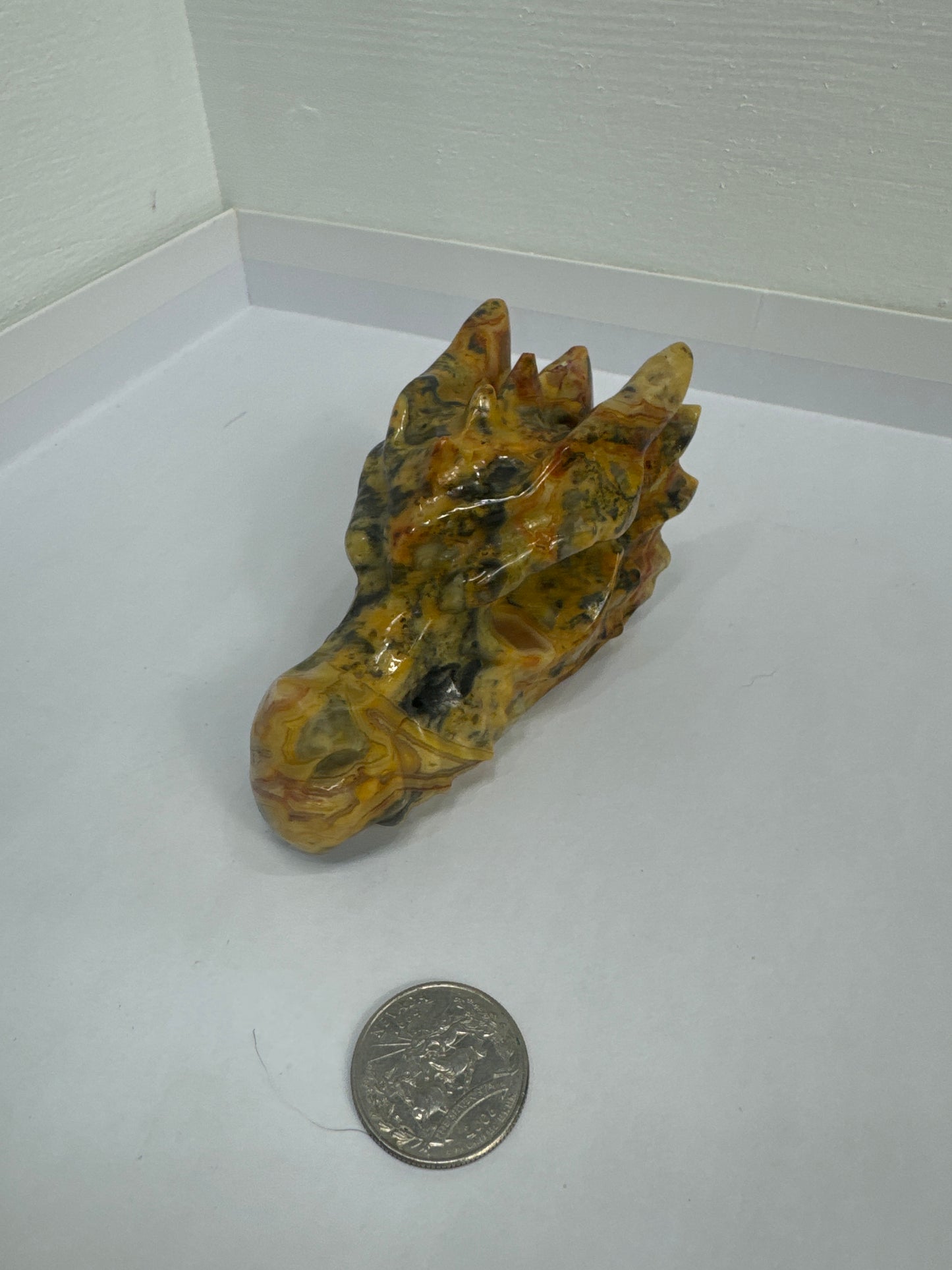 CRAZY LACE AGATE DRAGON SKULL-joy, laughter, optimism