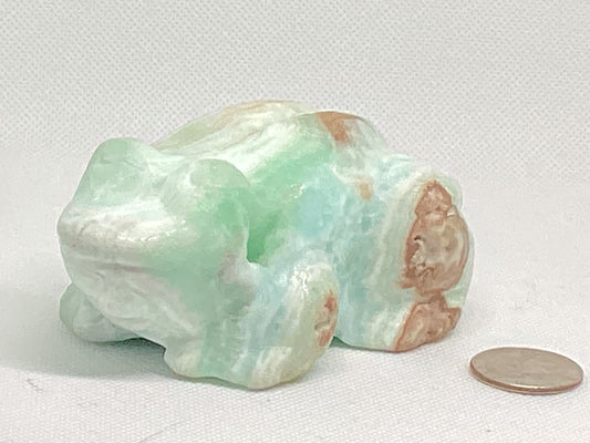 CARIBBEAN CALCITE FROG