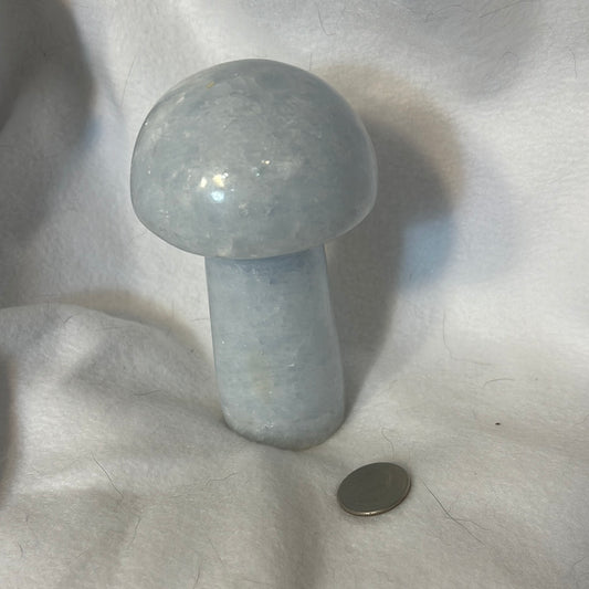 CELESTINE MUSHROOM- serenity, cleansing, purity