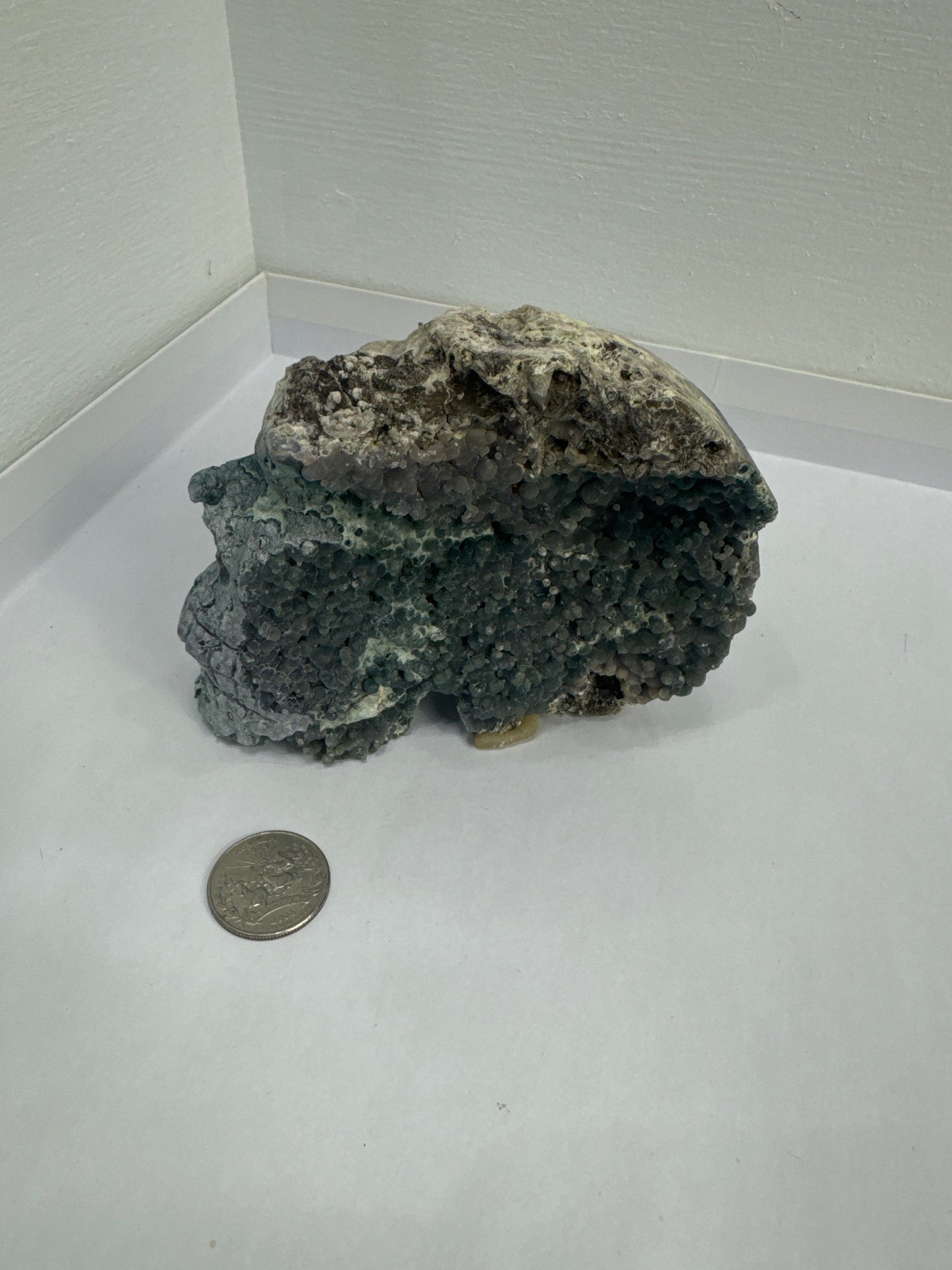 GRAPE AGATE SKULL- Intuition, Tranquility, and Spiritual Insight