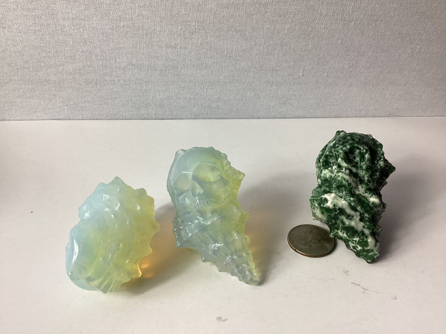 SEASHELL SKULL-Transformation, Wisdom, and Oceanic Energy