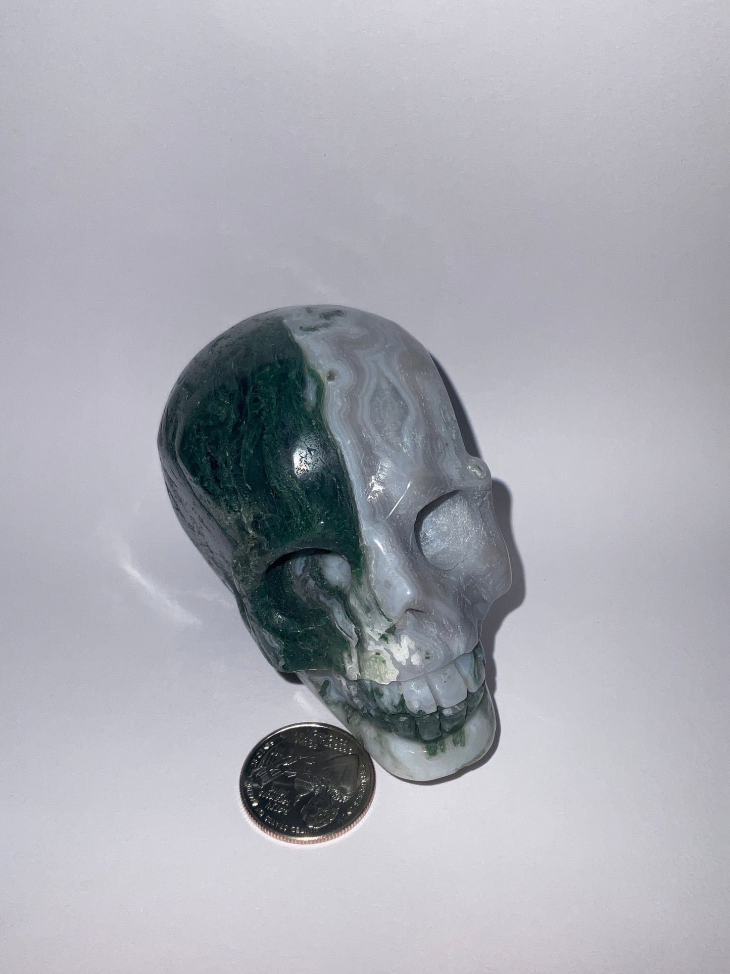 MOSS AGATE SKULL- abundance, growth, emotional healing