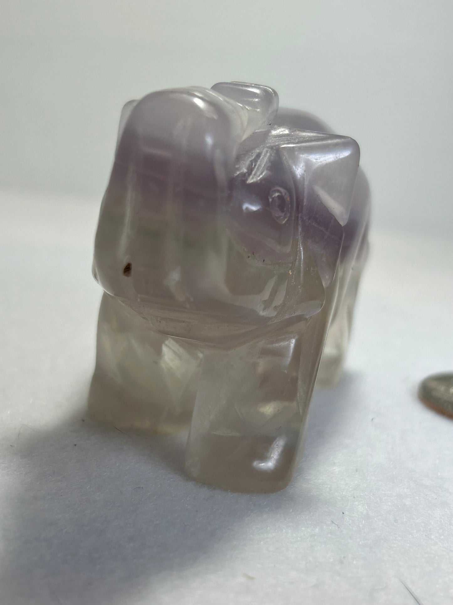 FLUORITE ELEPHANT carving-clarity, focus, growth