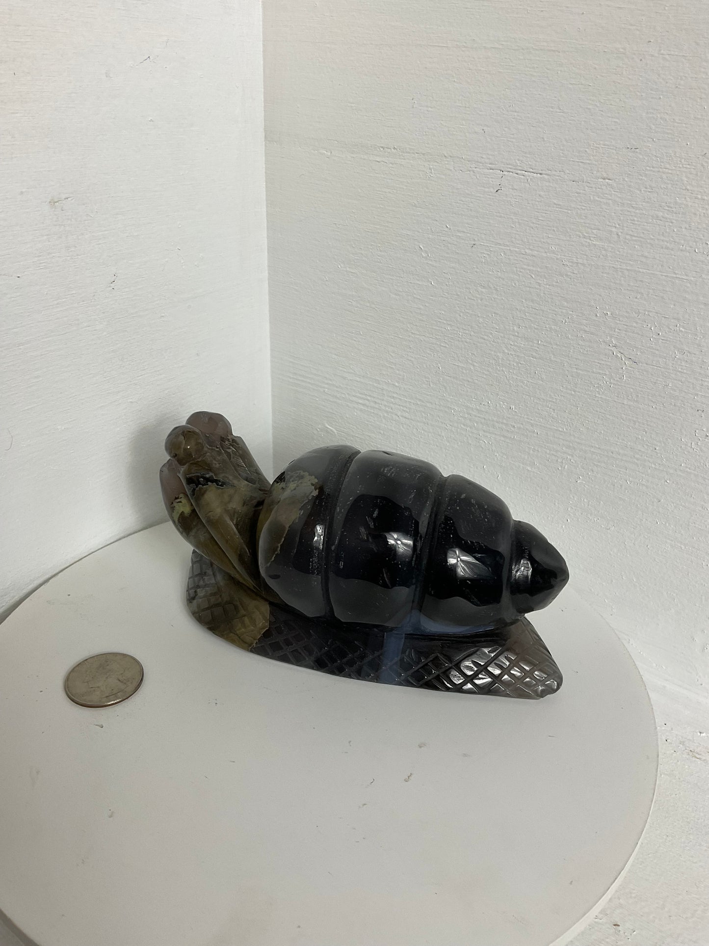 VOLCANO AGATE SNAIL CARVING- Patience, Transformation, Grounding