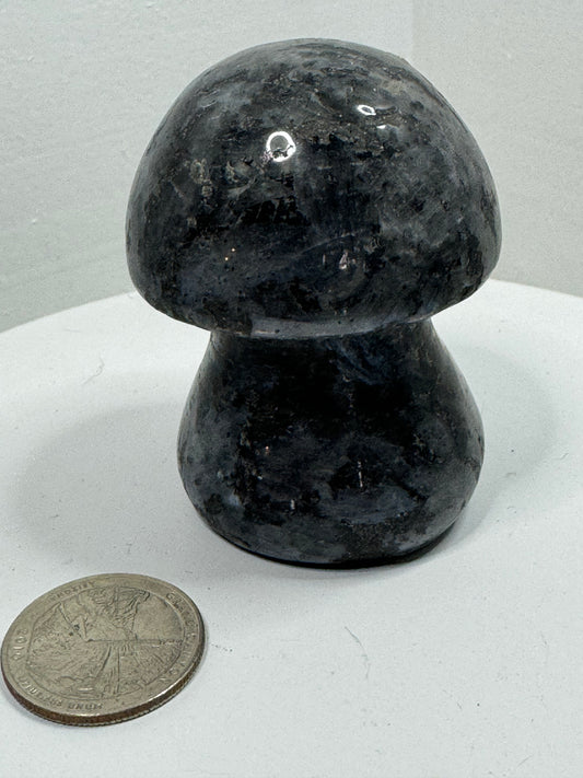 LARKOVITE  MUSHROOM-intuition, protection, and spiritual awakening