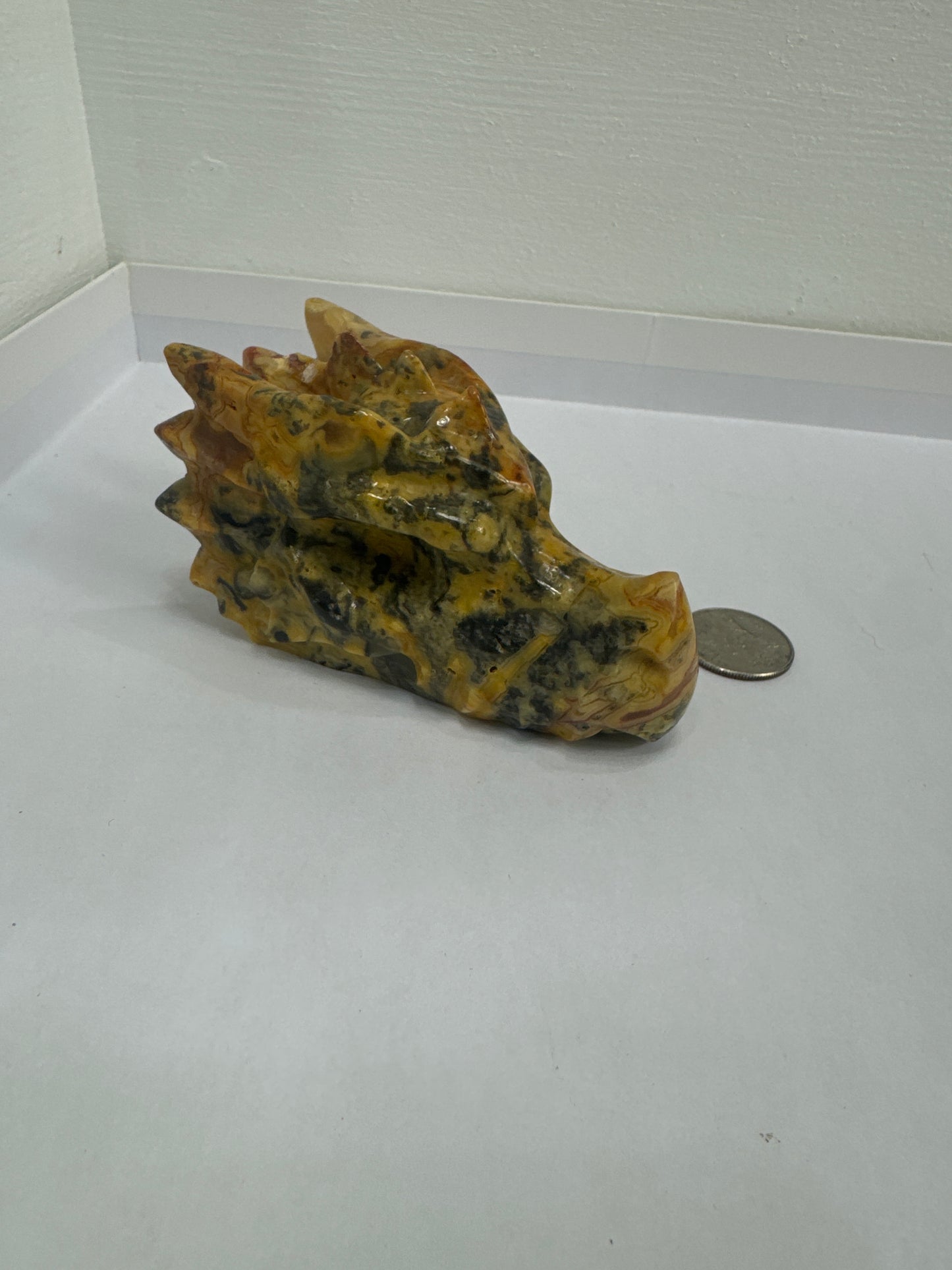 CRAZY LACE AGATE DRAGON SKULL-joy, laughter, optimism