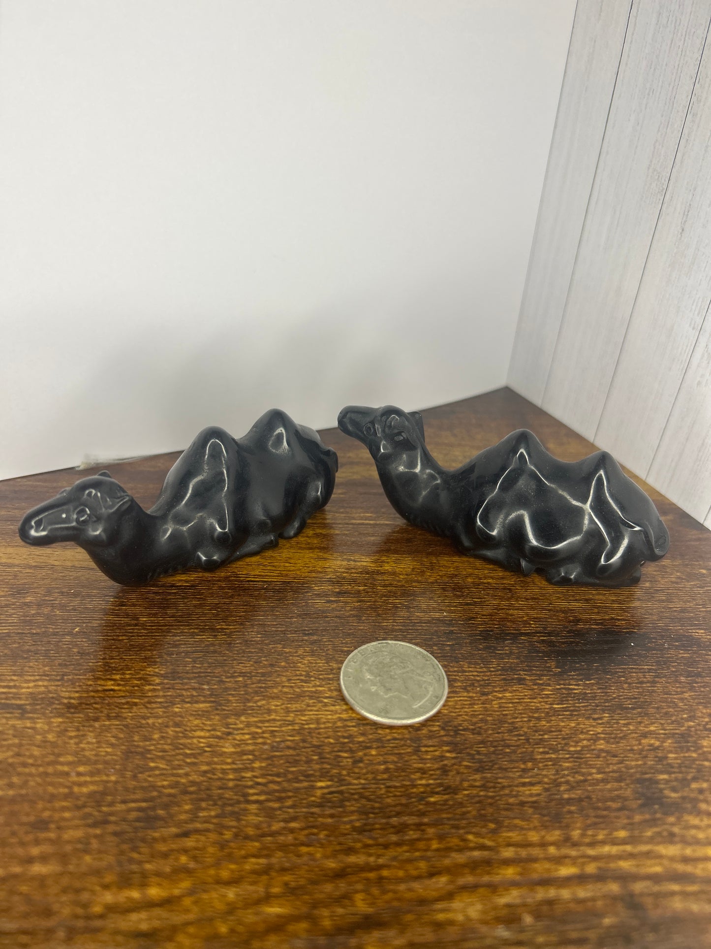 Obsidian camel
