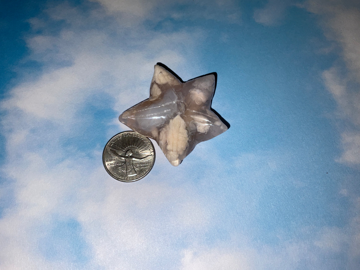 FLOWER AGATE STARFISH- Resilience, Harmony, Flowing Energy