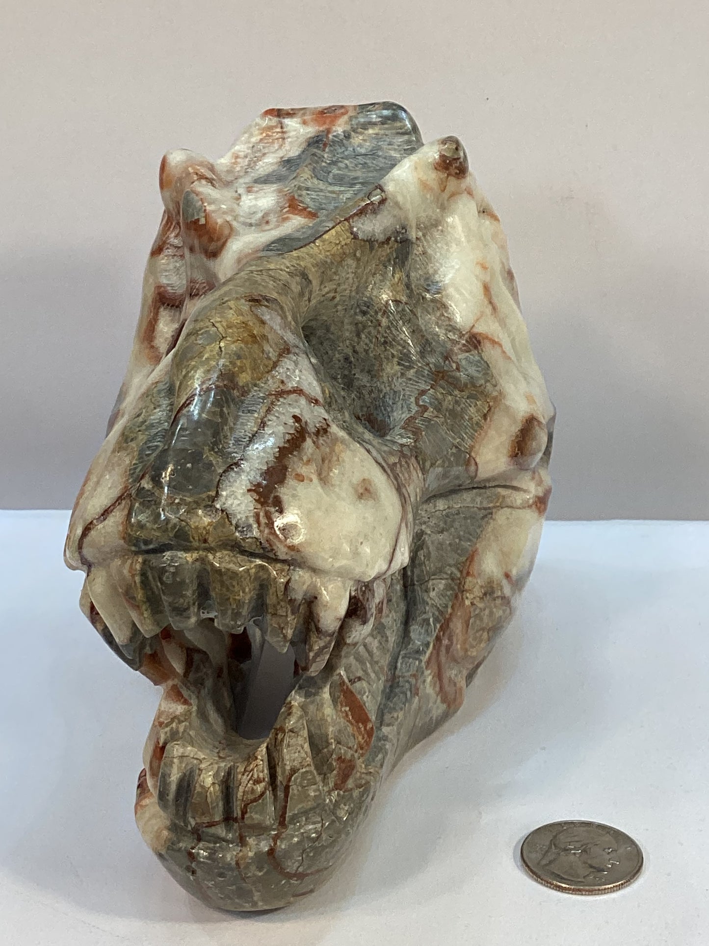 RED CRAZY LACE DINOSAUR SKULL-Strength, Vitality, and Grounding Energy
