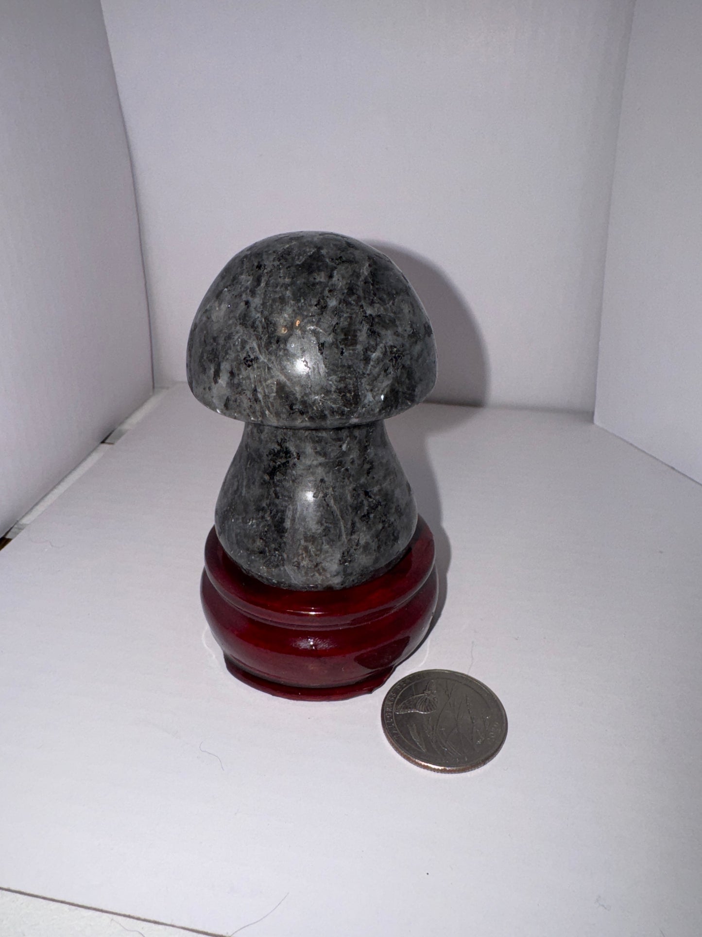 LARKOVITE  MUSHROOM-intuition, protection, and spiritual awakening