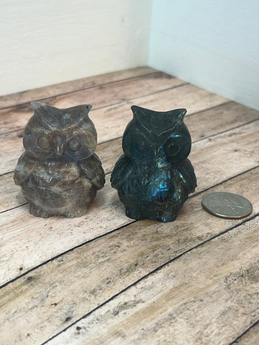 OWL CARVINGS (SMALL)-  Wisdom, Intuition, and Protection