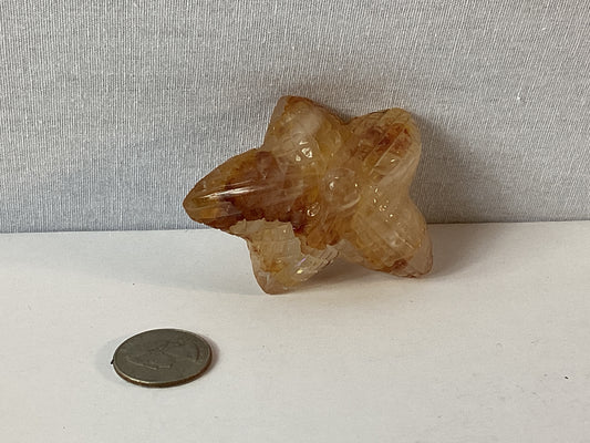 FIRE QUARTZ STARFISH-Passion, Balance, and Oceanic Energy 🌟🔥🌊