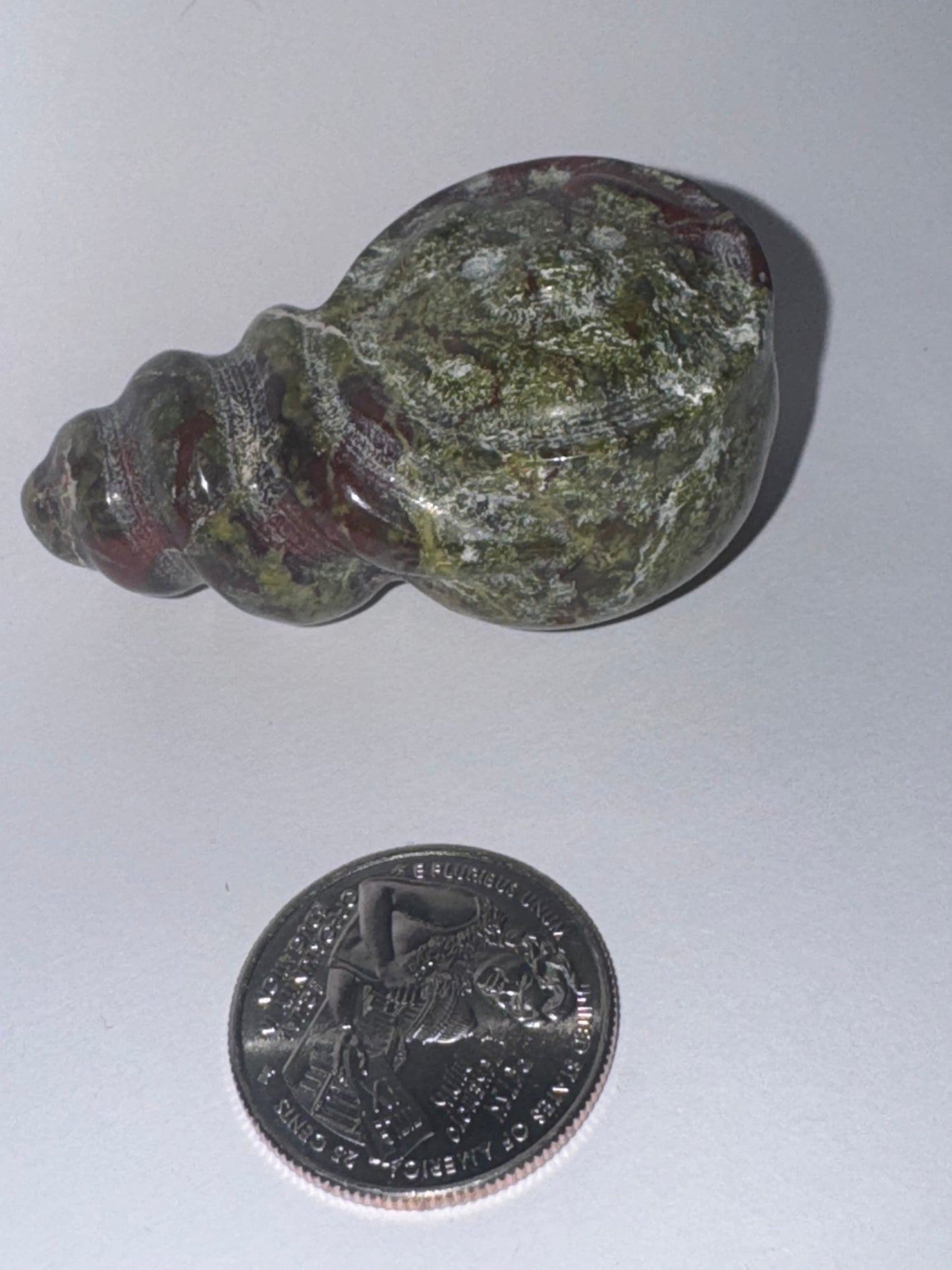 SNAIL CARVINGS- Patience, Persistence, and Grounding