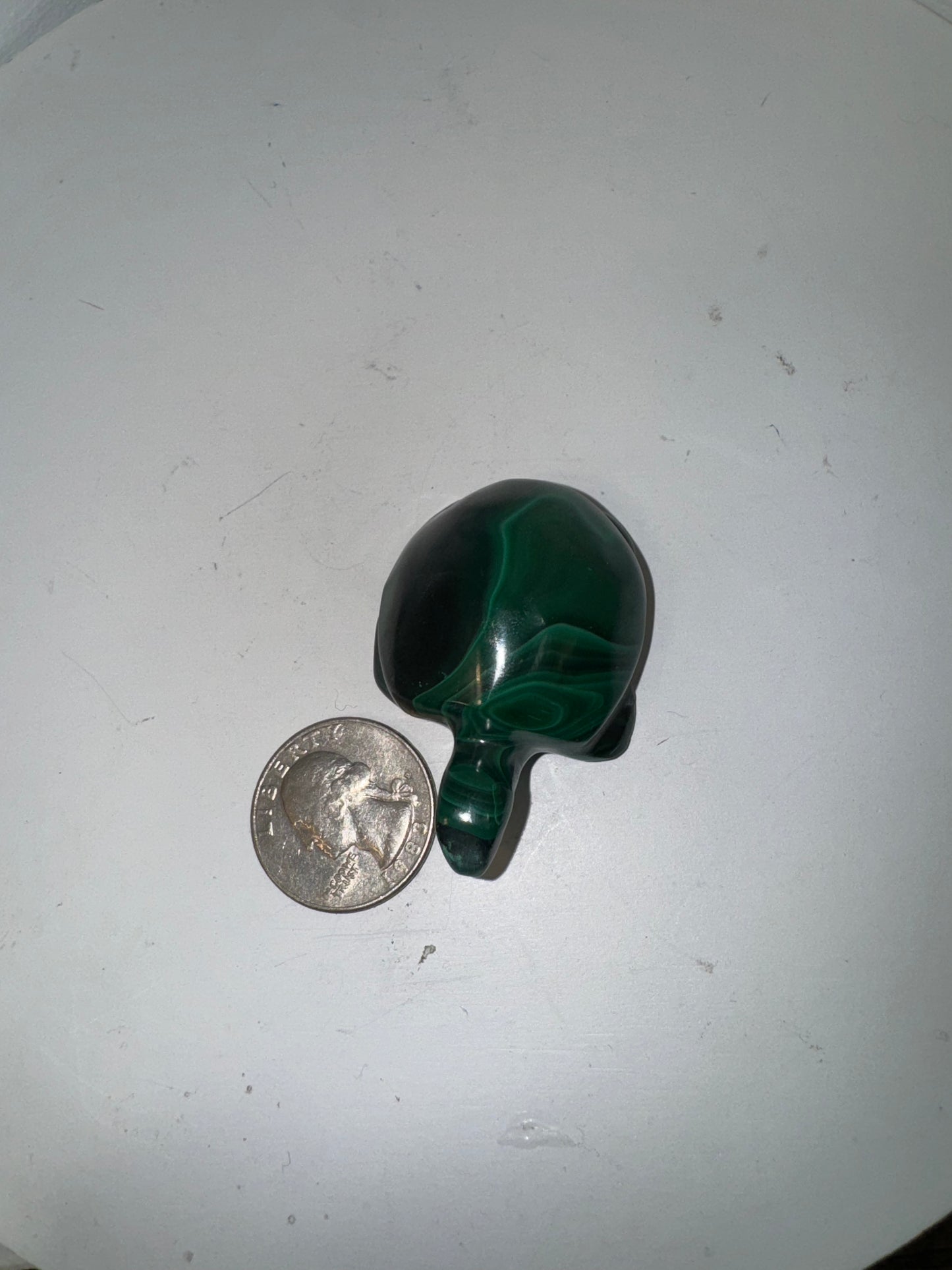 MALACHITE TURTLE- Transformation, Protection, Growth