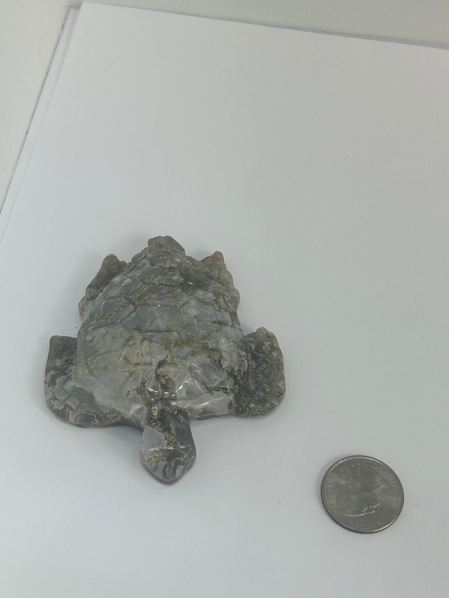 MOSS AGATE TURTLE