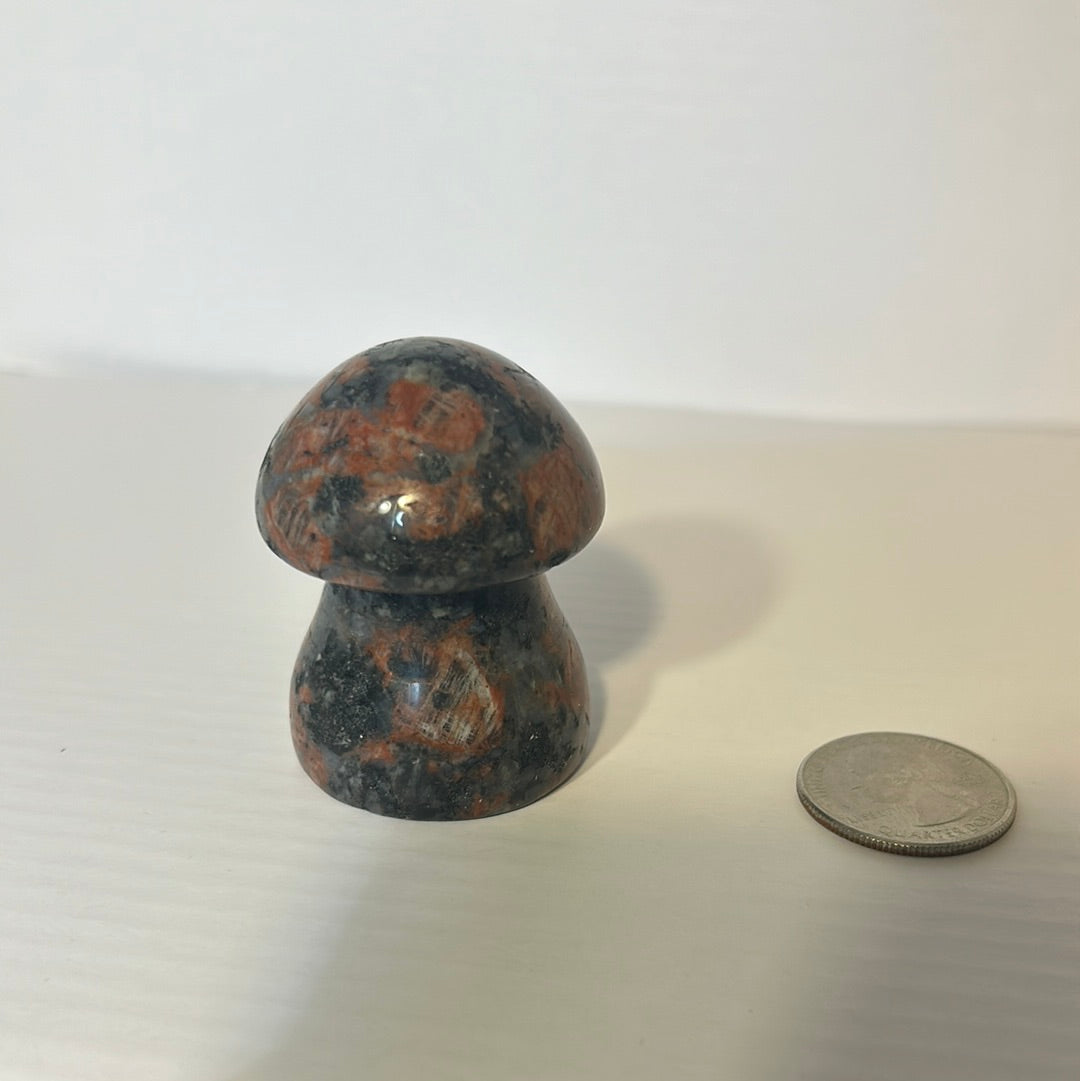 BRECCIATED JASPER MUSHROOM-grounding, strength, resilience