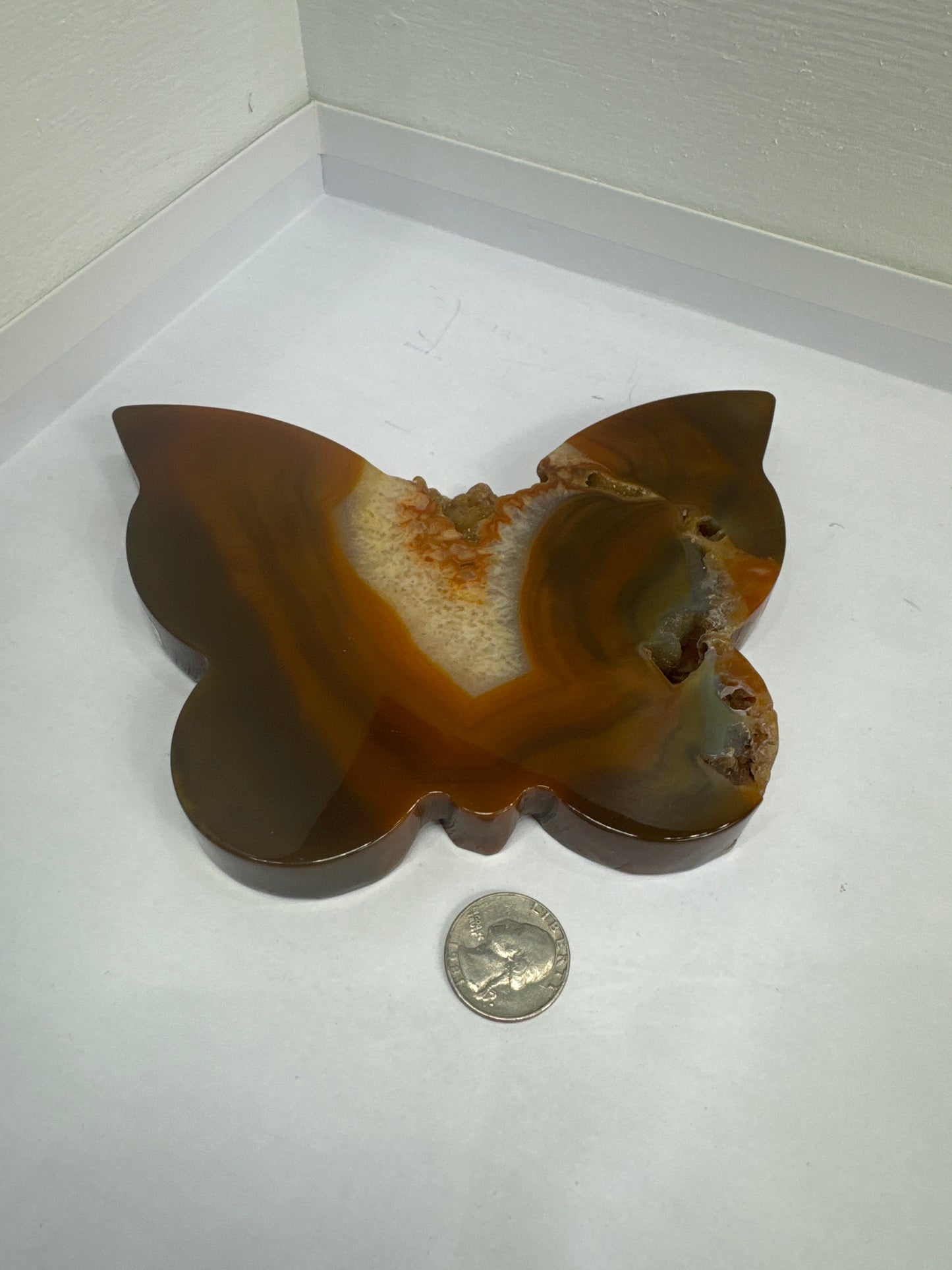 CARNELIAN BUTTERFLY -vitality, courage, creativity