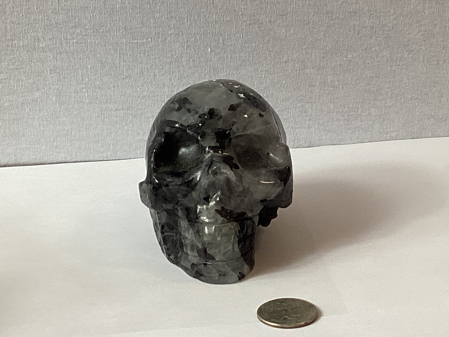 TOURMALINATED QUARTZ SKULL- Protection, Clarity, and Transformation