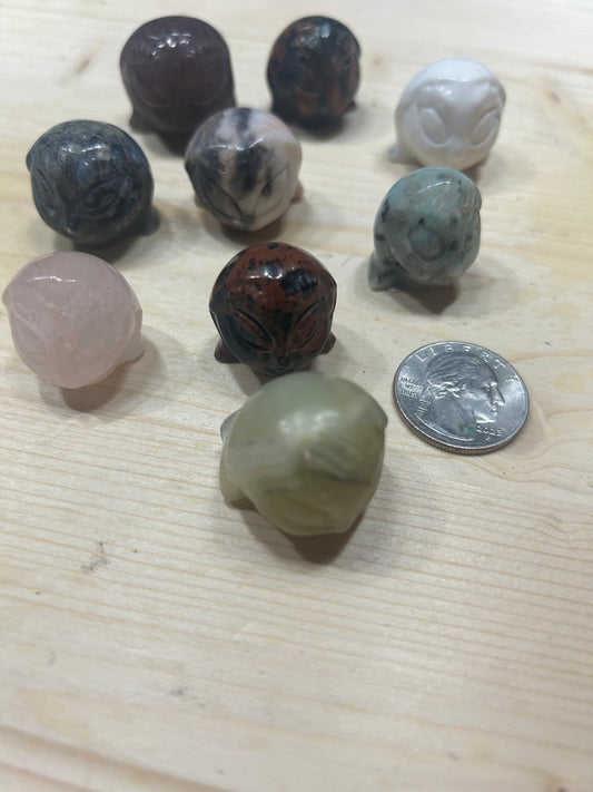 MINI SALLY CARVING