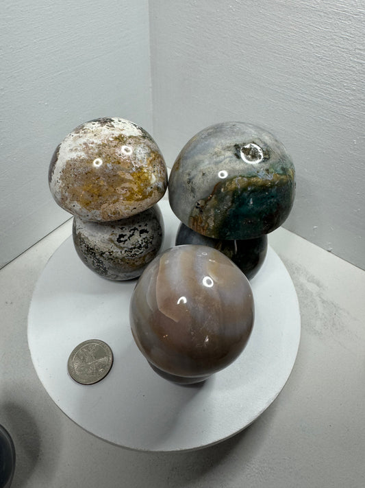 OCEAN JASPER MUSHROOM-inner peace, emotional healing, spiritual renewal
