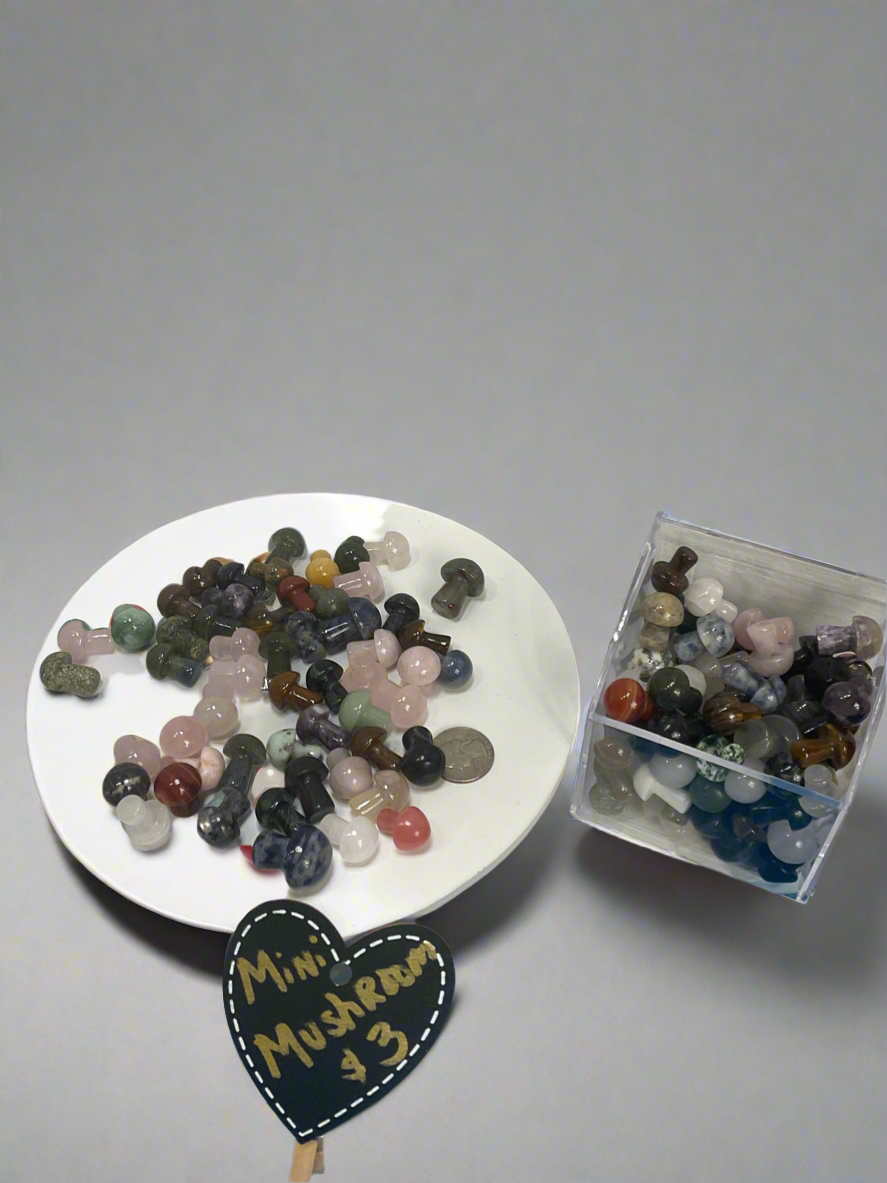 Mini mushrooms (different materials)$3