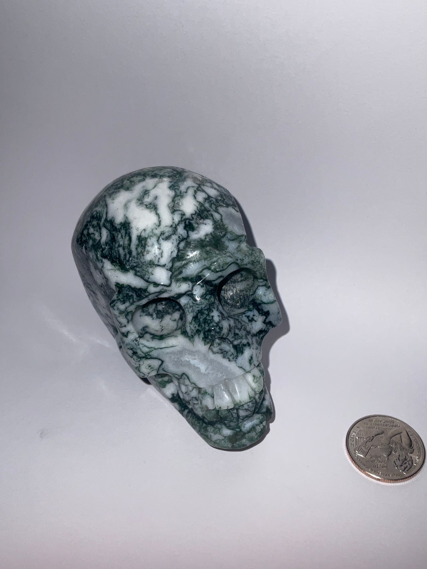 MOSS AGATE SKULL- abundance, growth, emotional healing