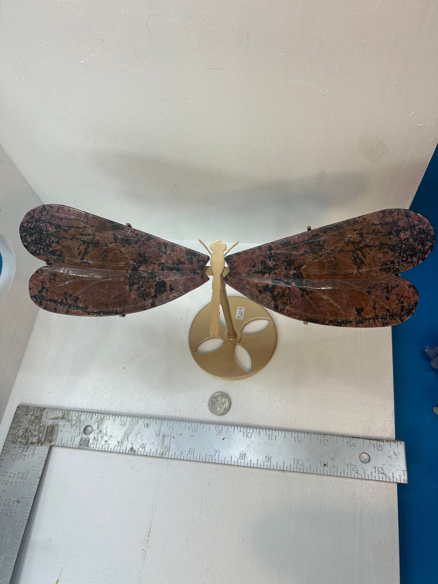 BUTTERFLY WINGS