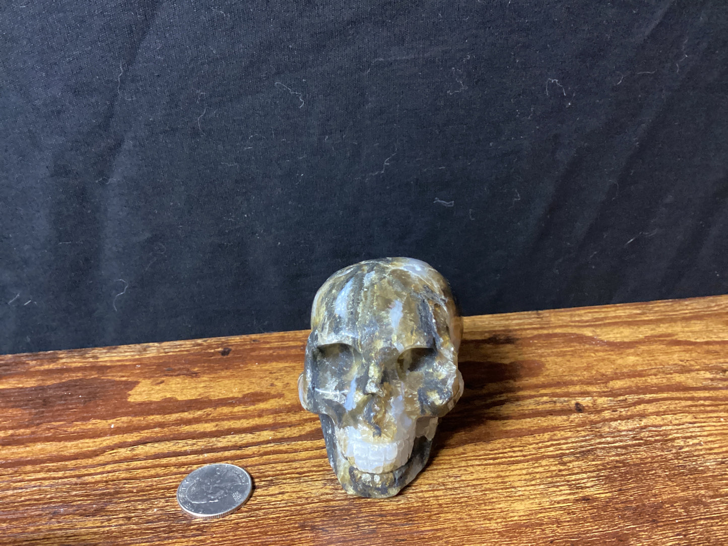 AMBER SKULLS-Wisdom, Healing, and Ancient Energy
