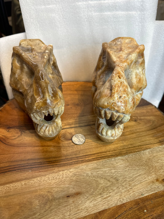 CHOCOLATE AGATE DINOSAUR SKULL-Strength, Wisdom, and Grounding Energy
