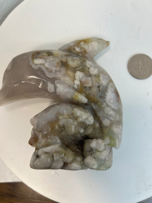 FLOWER AGATE DOLPHIN-Joy, Growth, Emotional Healing