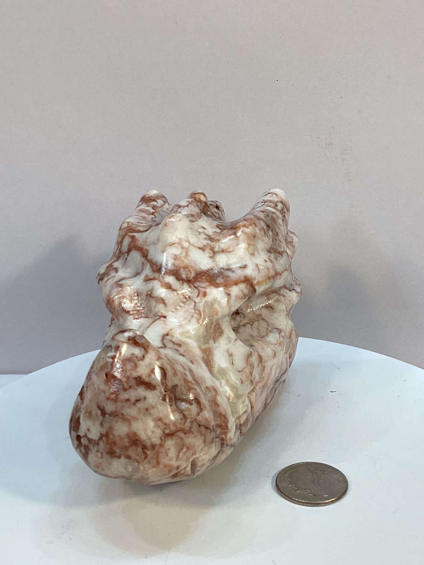 RED VEIN JASPER DRAGON SKULL-Strength, Wisdom, and Grounding Energy