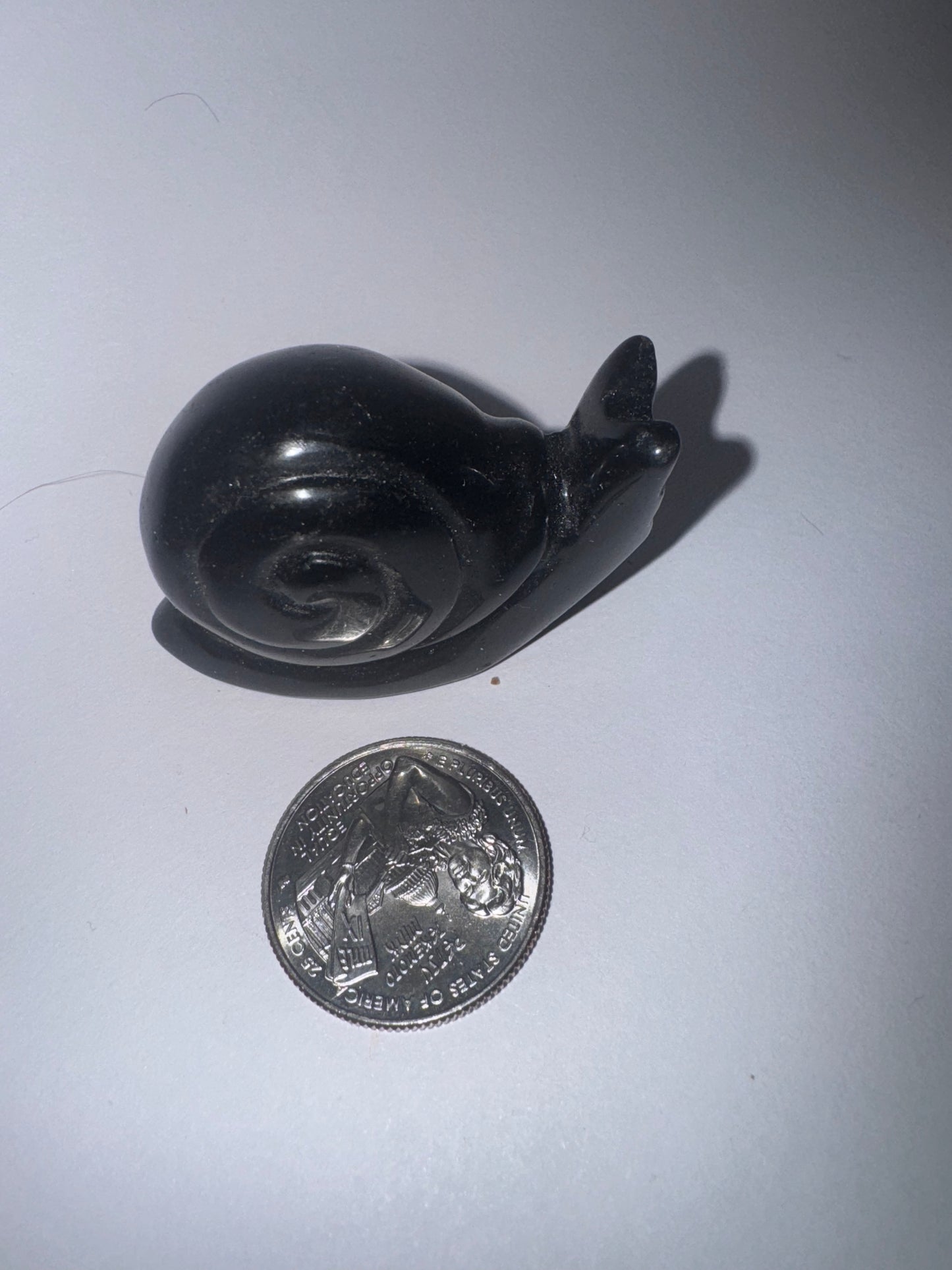 SNAIL CARVINGS- Patience, Persistence, and Grounding
