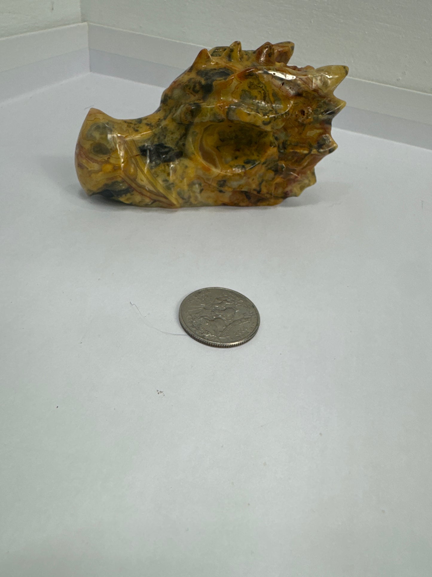 CRAZY LACE AGATE DRAGON SKULL-joy, laughter, optimism