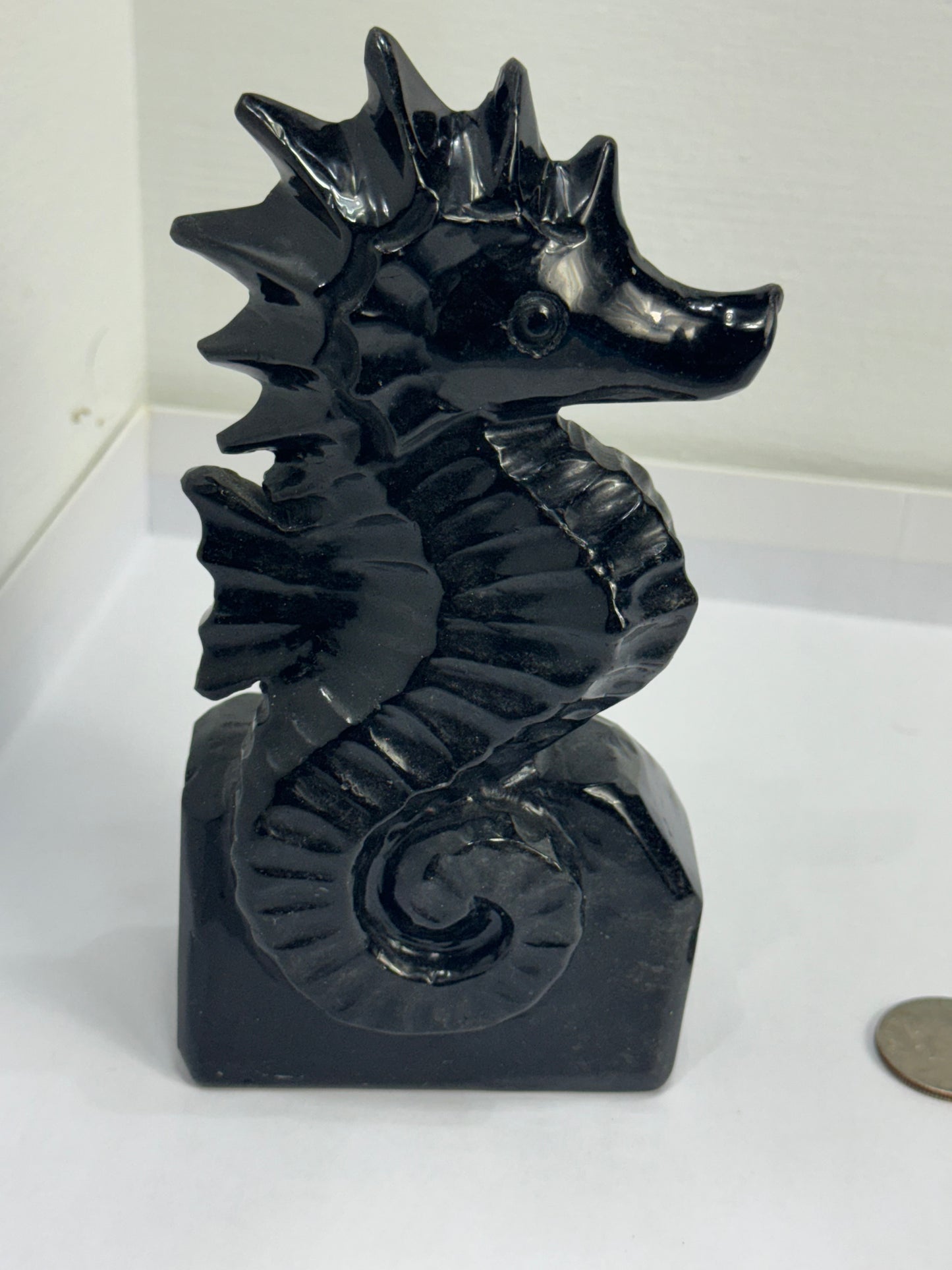 OBSIDIAN SEA HORSE -Protection, Grounding, and Emotional Resilience