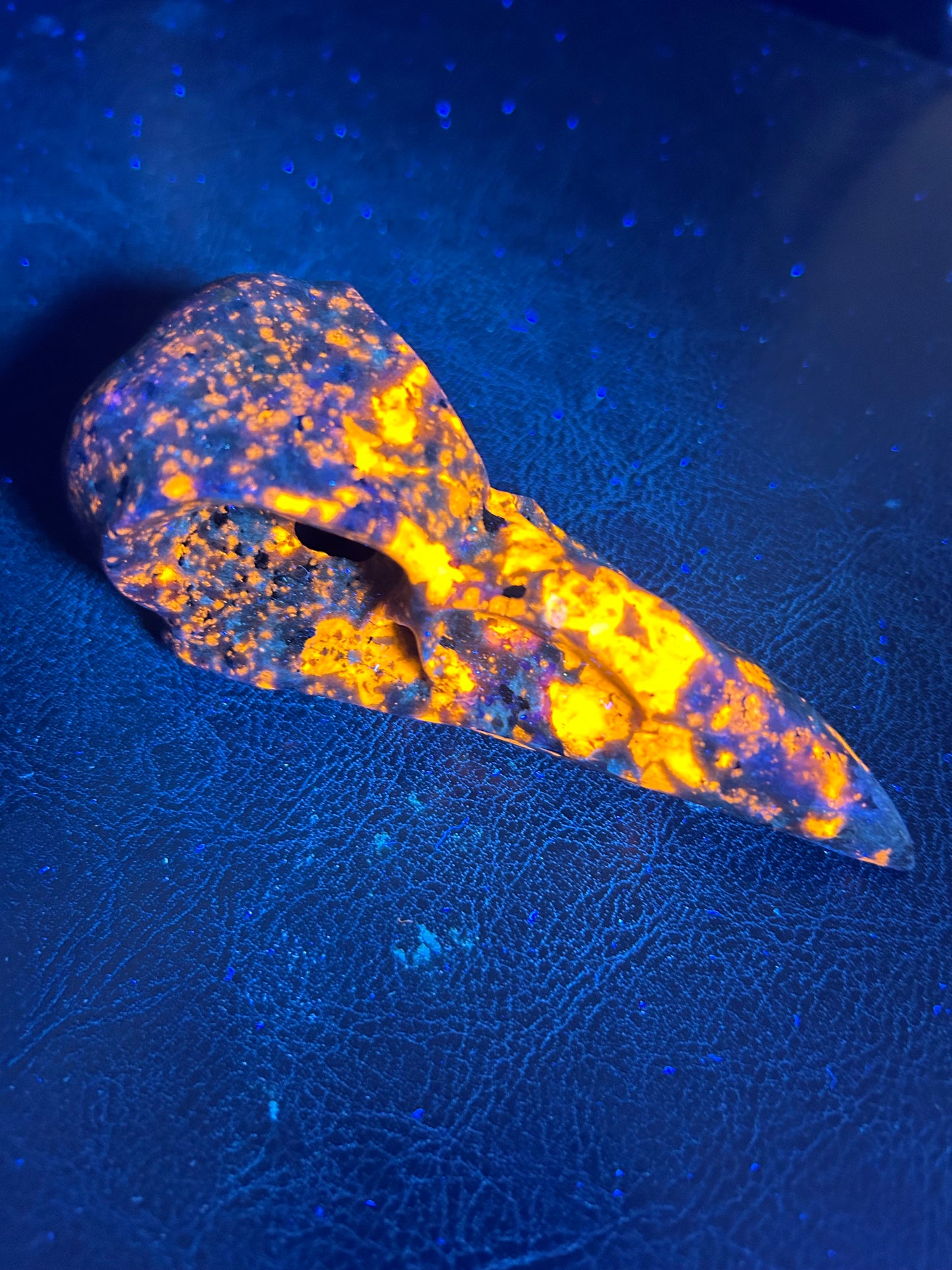 YOOPERLITE RAVEN SKULL- Illumination, Transformation, and Mysticism