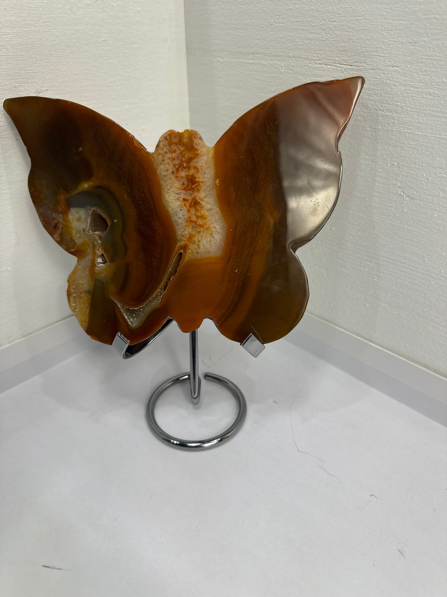 CARNELIAN BUTTERFLY -vitality, courage, creativity