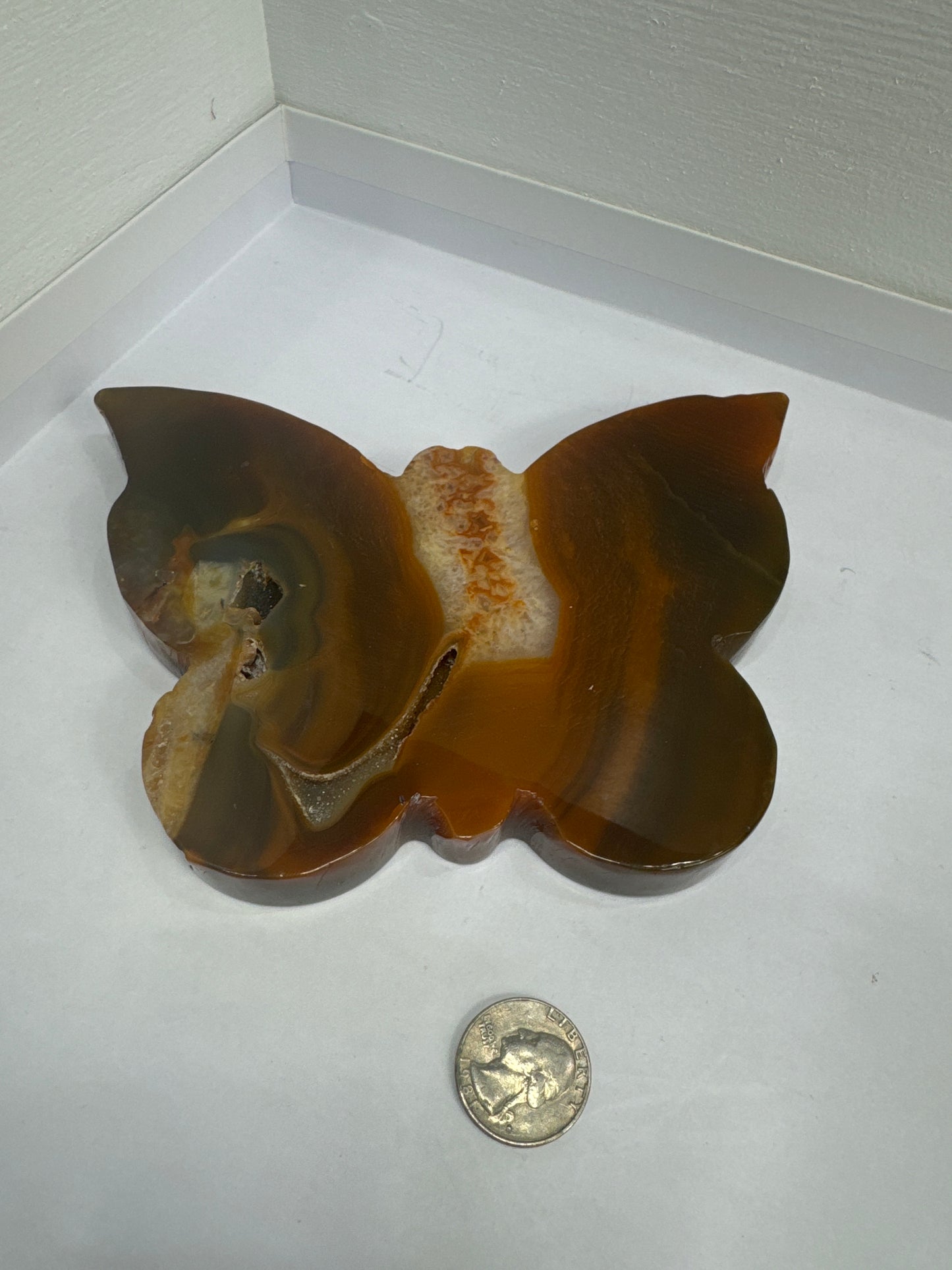 CARNELIAN BUTTERFLY -vitality, courage, creativity