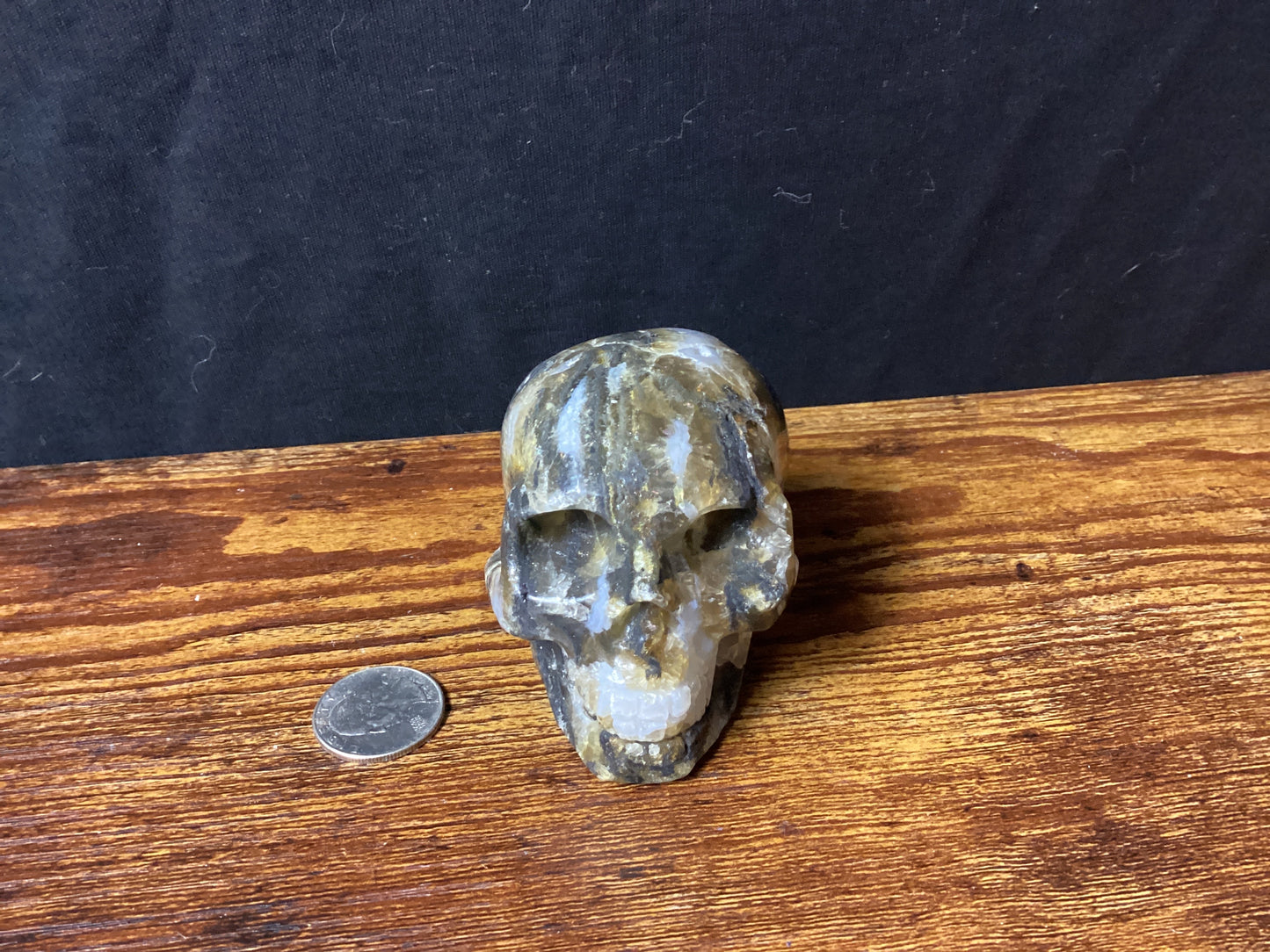AMBER SKULLS-Wisdom, Healing, and Ancient Energy