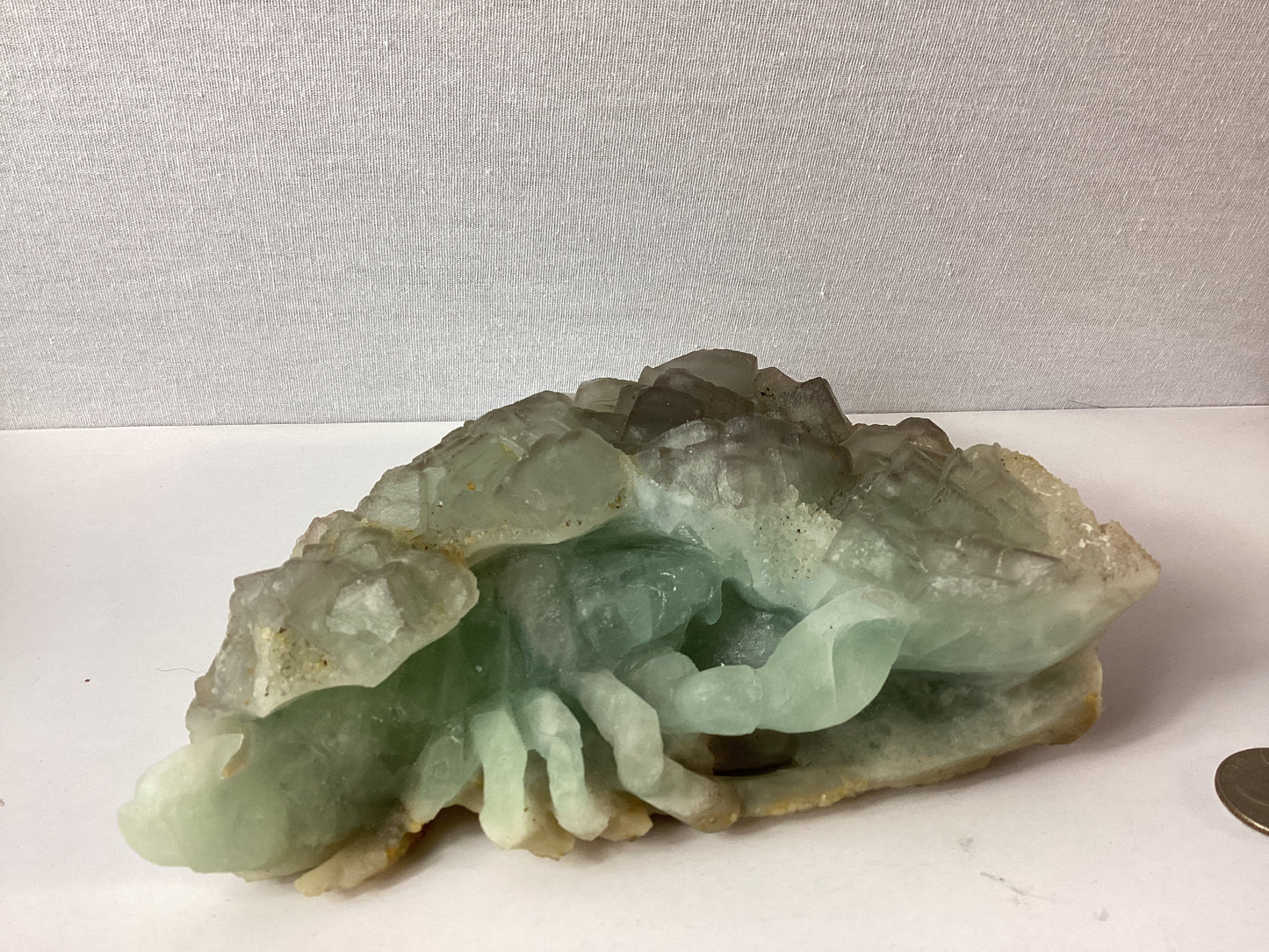 FLUORITE SCORPION-Focus, Transformation, and Protection