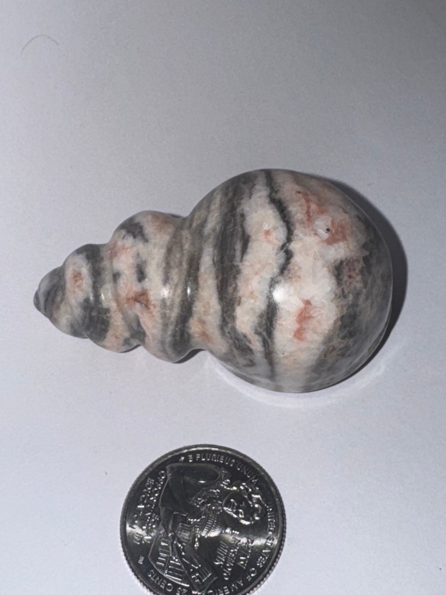 SNAIL CARVINGS- Patience, Persistence, and Grounding