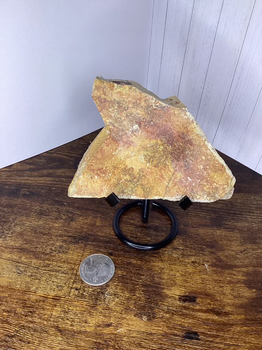 Dendritic sandstone slab 190g