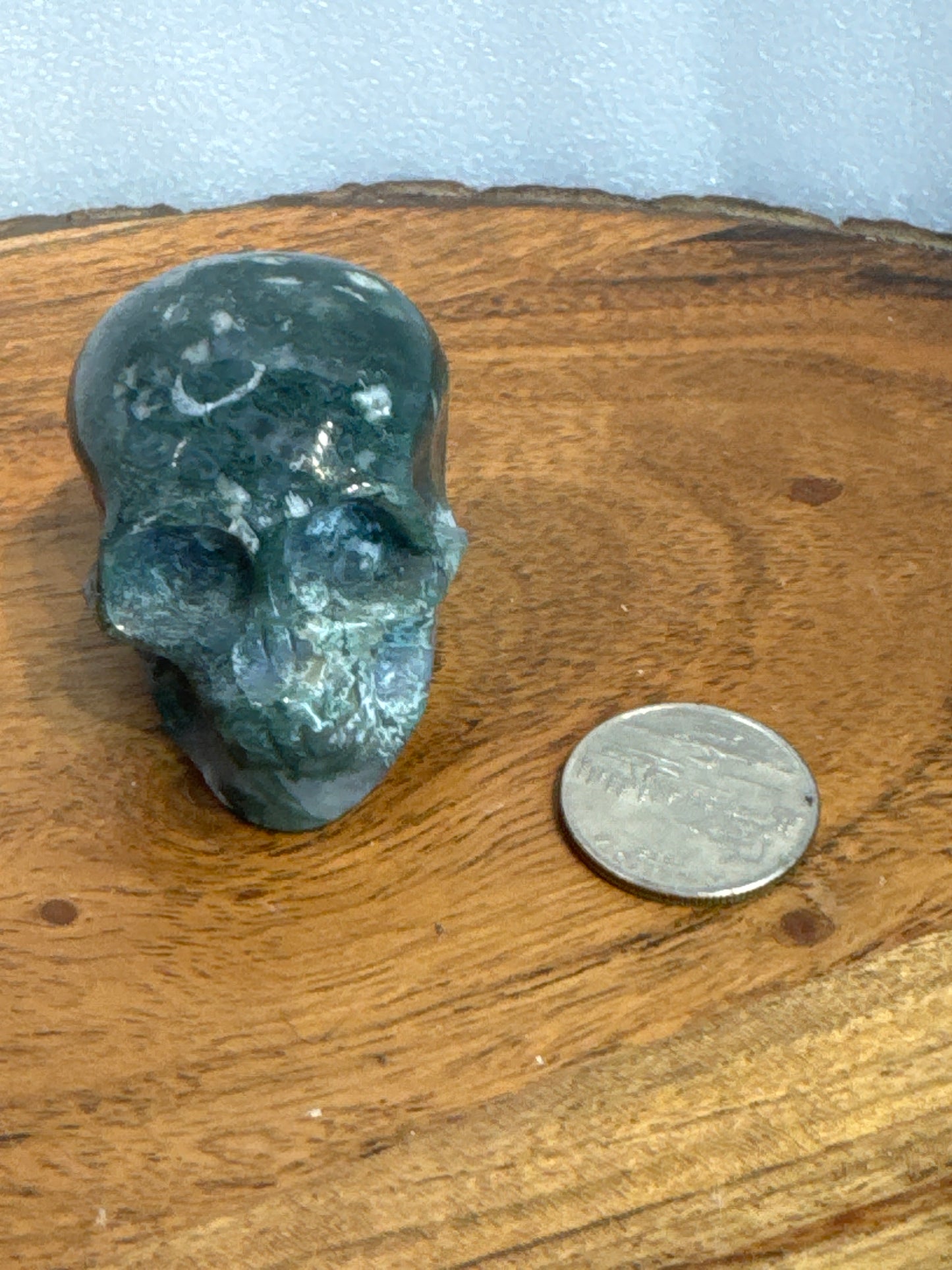 MOSS AGATE SKULL- abundance, growth, emotional healing