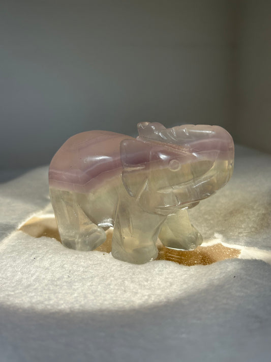 FLUORITE ELEPHANT carving-clarity, focus, growth