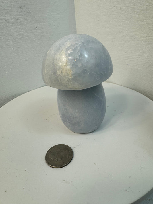 CELESTINE MUSHROOM- Serenity, Spiritual Connection, Inner Peace