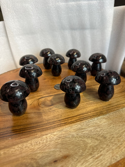 GARNET MUSHROOM-Passion, Strength, Grounding