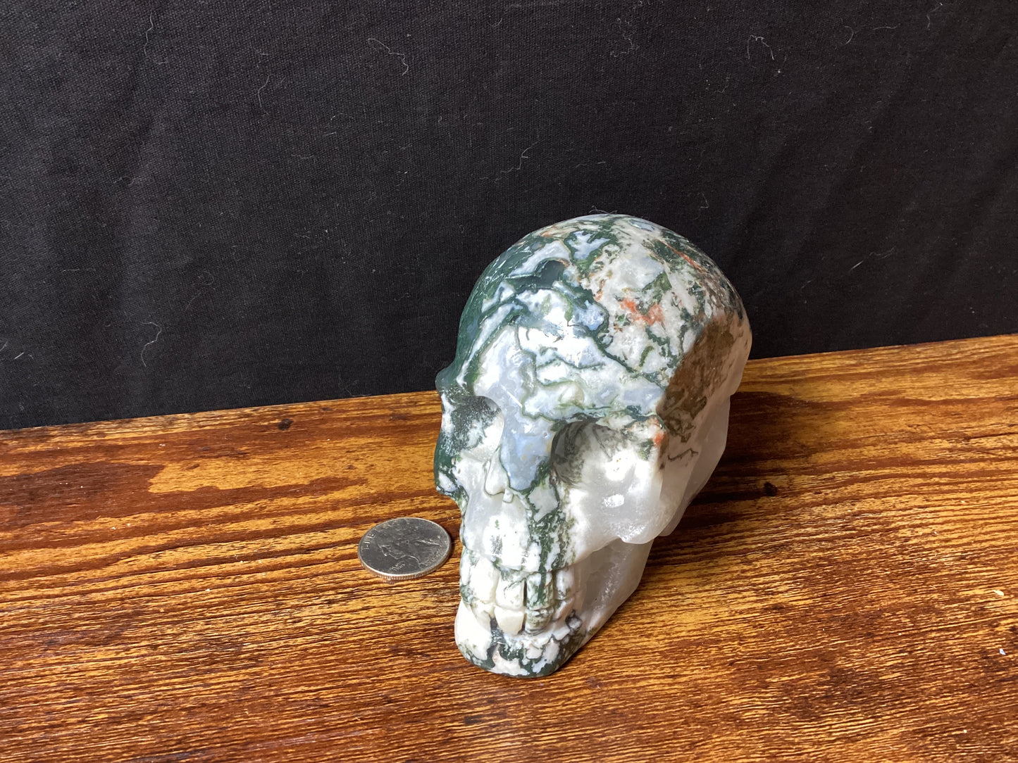 MOSS AGATE SKULL- abundance, growth, emotional healing