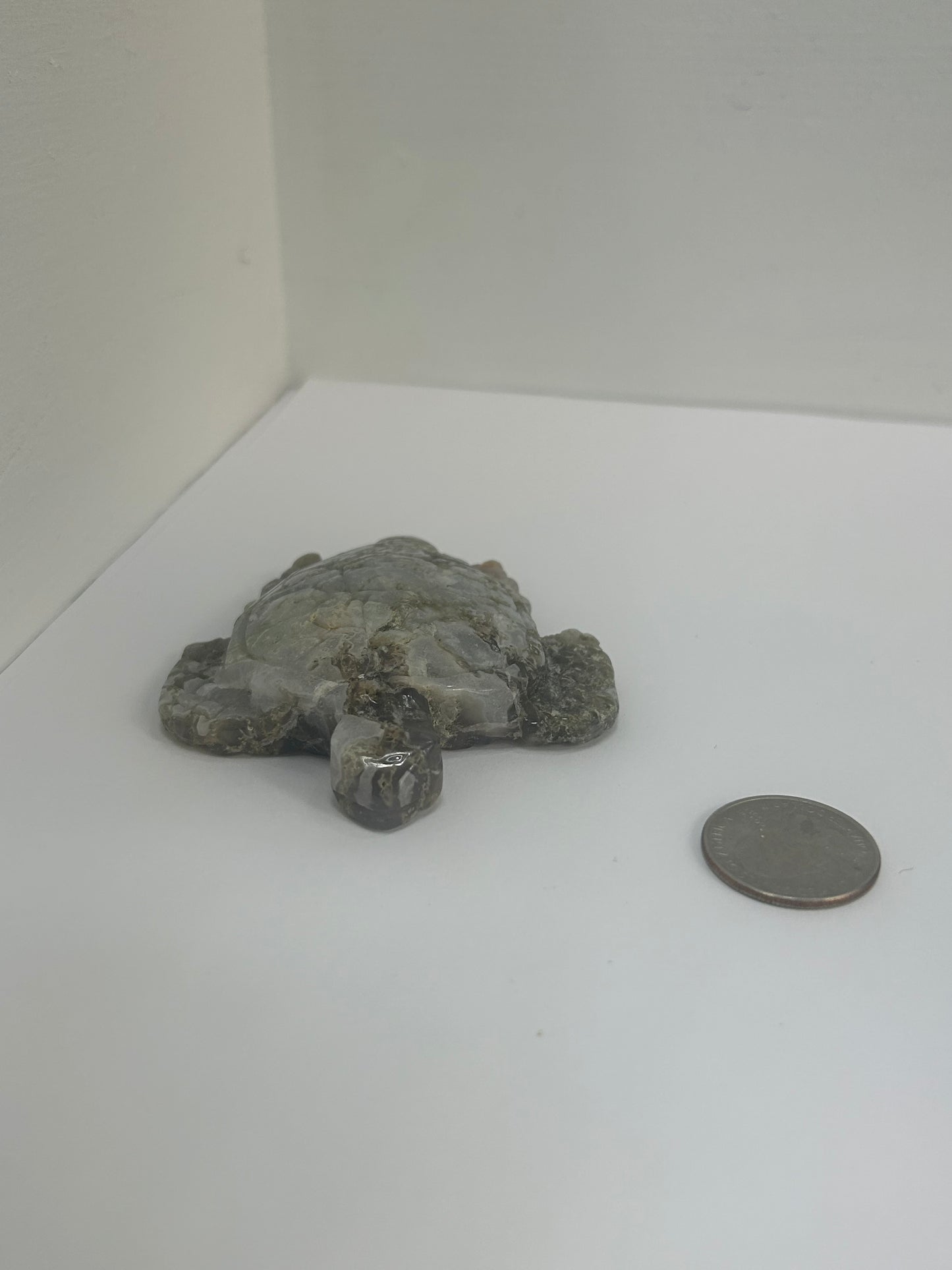 MOSS AGATE TURTLE