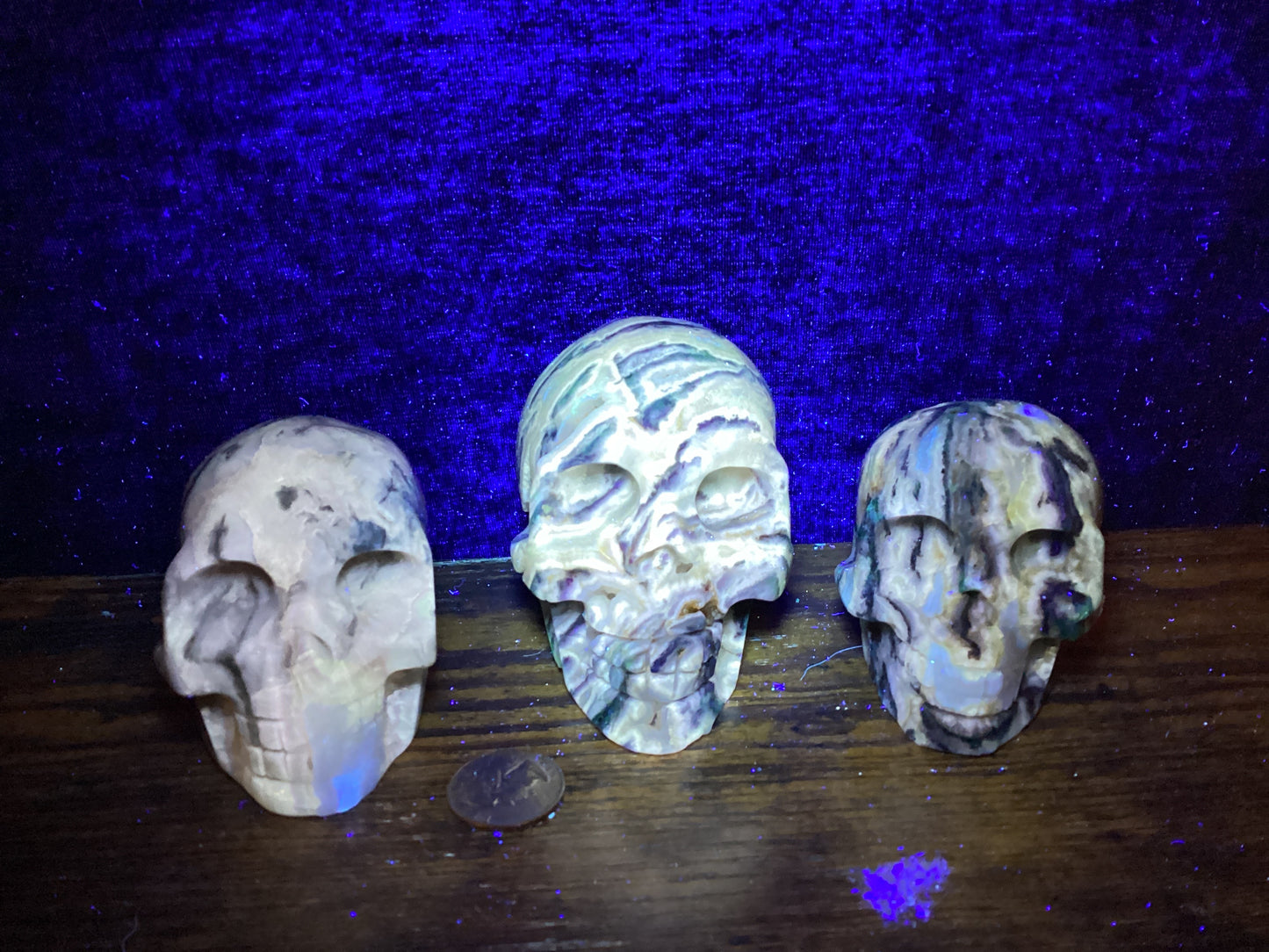 AMBER SKULLS-Wisdom, Healing, and Ancient Energy